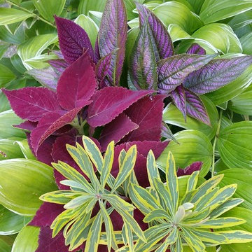 perennial gardens