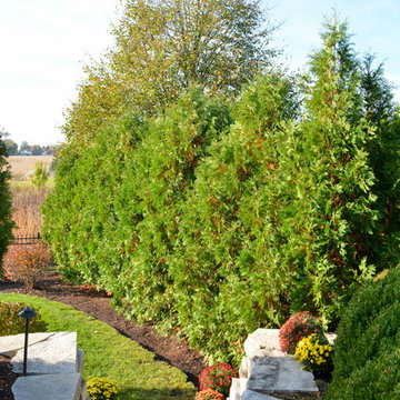 Barrington Backyard Stairway Landscape