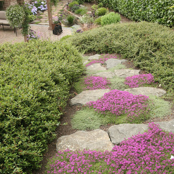 Contemporary Landscape