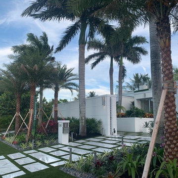 Tropical Modern