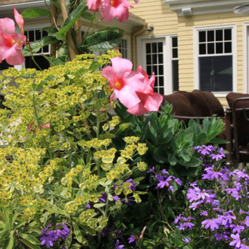 Coastal plantings, June 2014
