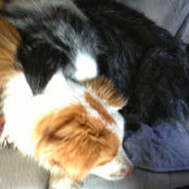 Foto von Ginger B