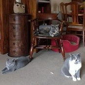 Chell Parslow's photo