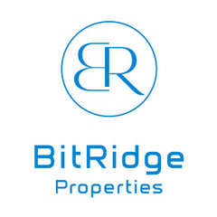 Bit Ridge Properties