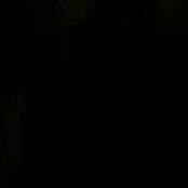 Iwan Halstead's photo