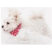 Heather Lynn's photo