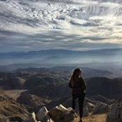 Shira Levine's photo