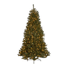 Christmas Trees
