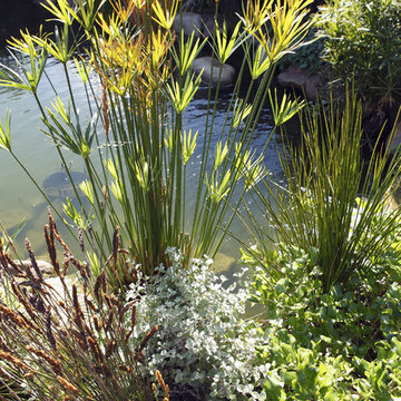 Los Angeles Whole House Remodel and Landscape Design