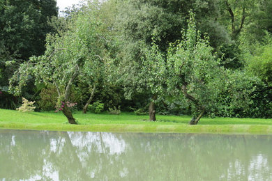 Photo of a contemporary garden in Other.