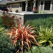 landscape ideas