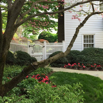 Shade Garden
