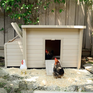 Chicken Coop for Urban Farming