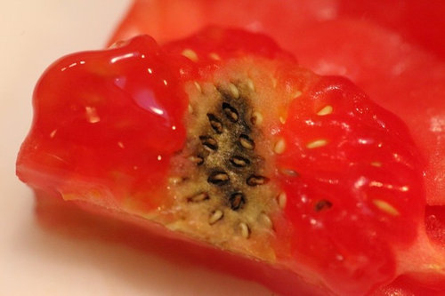 Tomatoes have black inside but look fine outside