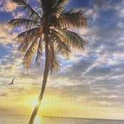 Ashley Ross's photo