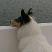 Marci Tressel's photo
