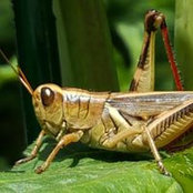 Nina Stiber's photo