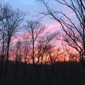 Angela Cothren's photo