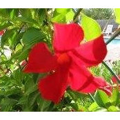RoseMary Wodecki's photo