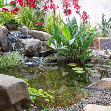 Modern Garden