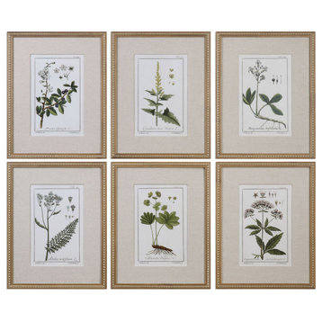 Green Floral Botanical Study Art Print, Gold