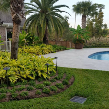 My Projects