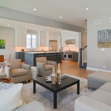 Chicago Transitional Home