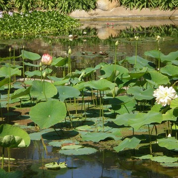 Lotus Land, Montecito