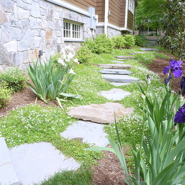 Stepping Stone Path