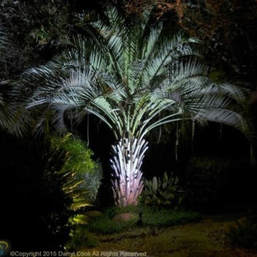 LED Lighting Warm and Cool Tones