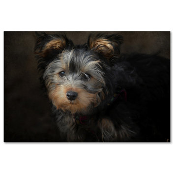 Jai Johnson 'Yorkie Puppy' Canvas Art, 32 x 22