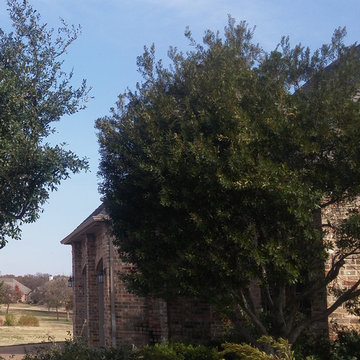 Landscape Projects