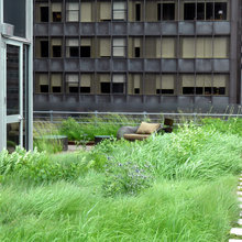 Landscape Ideas
