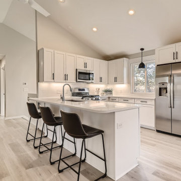 Denver Area Kitchen Renovation