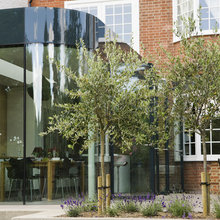 Extension