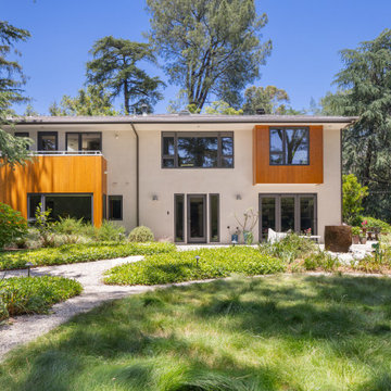 House in the Forrest