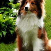 Piper Mueller's photo