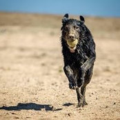 Ryan Day's photo