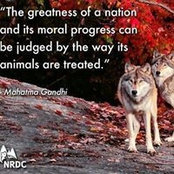 Photo de Carol Granfield