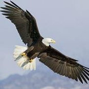 Melissa Tappen's photo