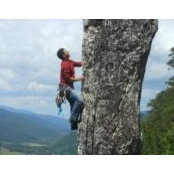 Michael Varlotta's photo