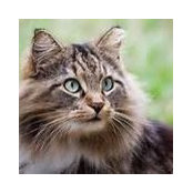 Tracy Gardner's photo