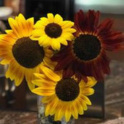 Mia Alberti Turro's photo