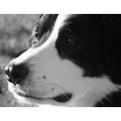 Brianne Taylor's photo