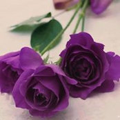 Nehad Adly's photo