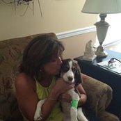 Debbie Shollenberger's photo