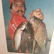 Foto von Don Wooten
