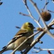 Debra Bush's photo