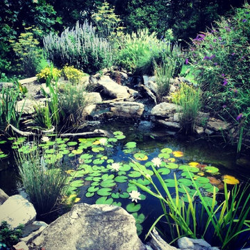 Ecosystem pond