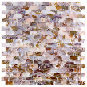 Mother of Pearl Oyster Mini Brick Shell Mosaic Tile, Set of 10